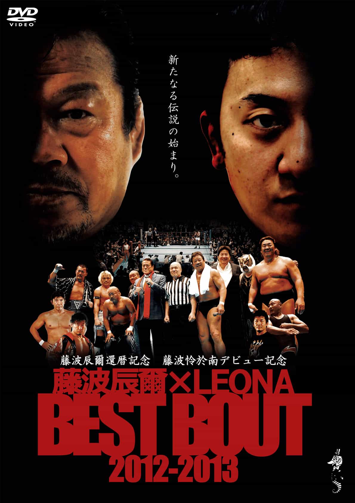 Tatsumi Fujinami X LEONA Best Bout 2012-2013